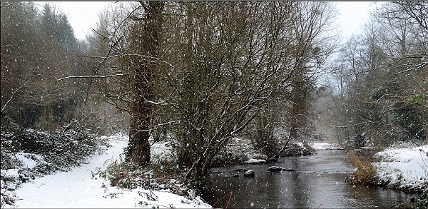 Paysage 9_01_10 n01.jpg